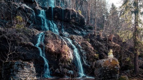 Magazine - Harz 