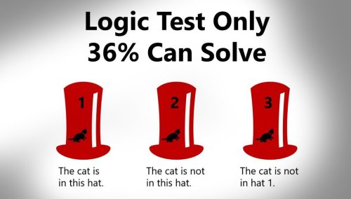 People are struggling to solve this simple "Cat in the Hat" logic test