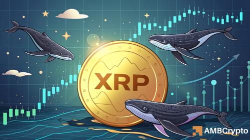 Ripple's XRP Makes Power Moves