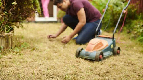 Avoid these mistakes when caring for your lawn 