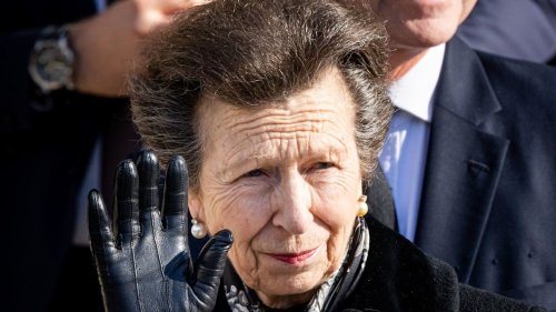 Princess Anne leaves hospital to continue recuperation at Gatcombe home