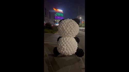 Runaway Inflatable Panda Running on Street of Nanchang, China