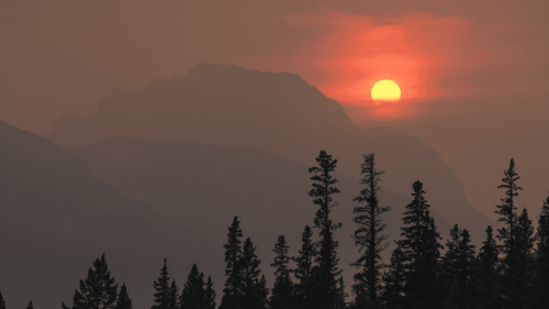The Impact of Extreme Heat