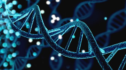 Scientists Decode Entire Human Genome: Why This Matters