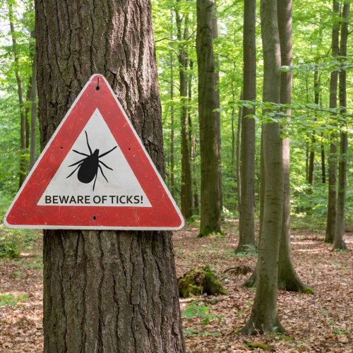 How To Stay Protected During the Tick Explosion