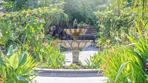 What to consider before adding a water feature to your yard 