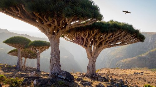 Weirdest Places on Planet Earth That Seem Out of This World