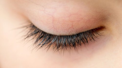 Are There Really Arachnids Living In My Eyelashes? — Plus Other Health Questions