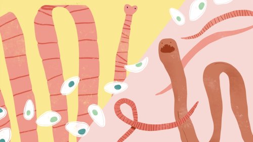 Parasites that could be feasting on you right now, and how to detect them