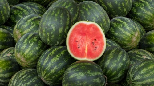 Read This And You’ll Never Pick A Bad Watermelon Again
