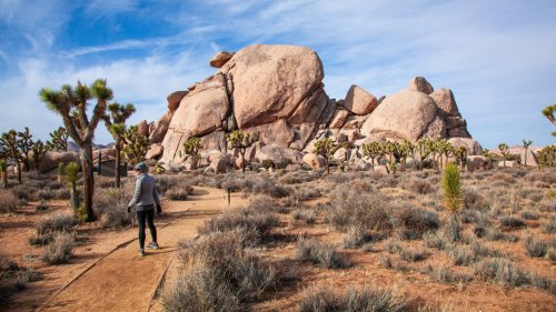 This National Park In California Offers Serene Desert Camping And Recreation