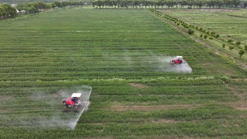 China: Drone Agriculture