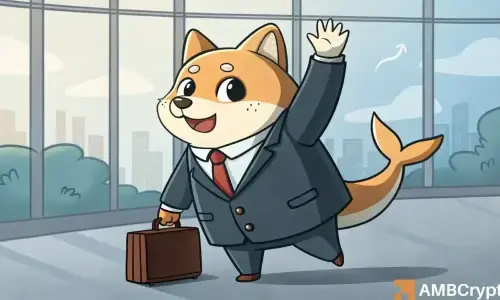 Shiba Inu Whales Are Disappearing
