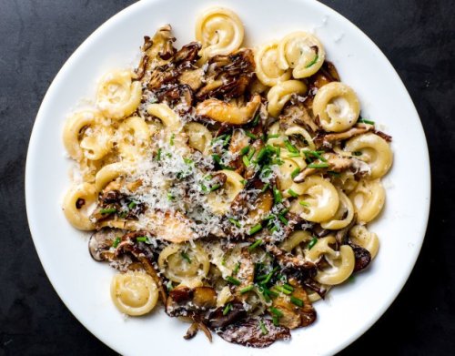 A Creamy Mushroom Pasta for When Nothing Else Will Do