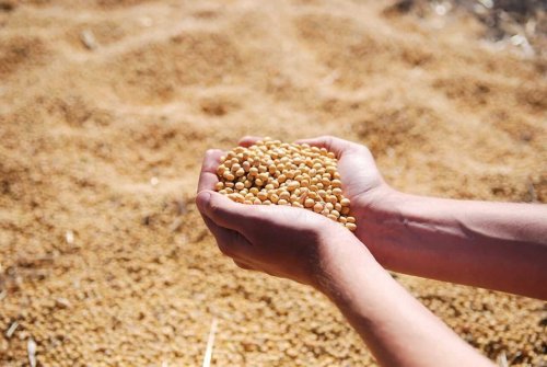 Magazine - Commodities