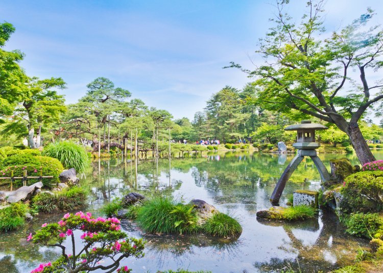 Are Japanese Gardens Curiously Underrated?