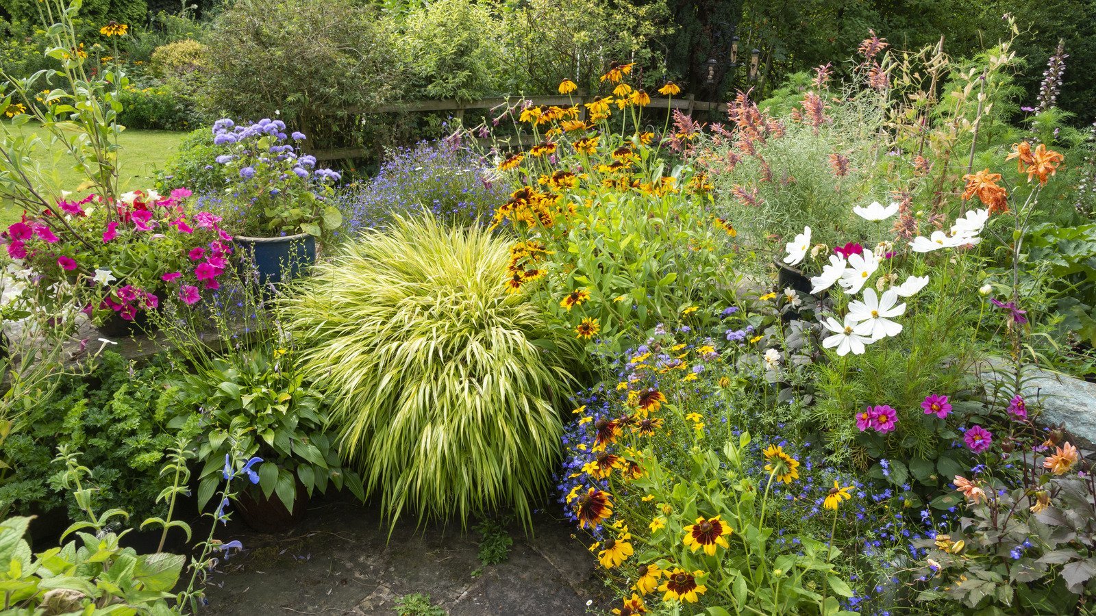 Add Some Color To Your Yard With These Colorful Ground Covers 