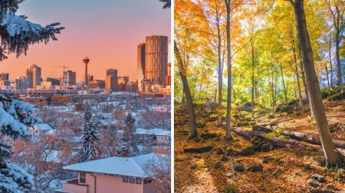 Canada's Weather Forecast For November Says Some Regions Will Be 'Much Warmer Th
