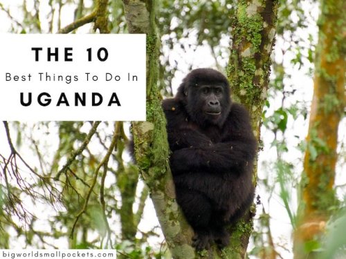 Your Guide to Visiting Uganda: Packing, Safaris, Itineraries and Tips!