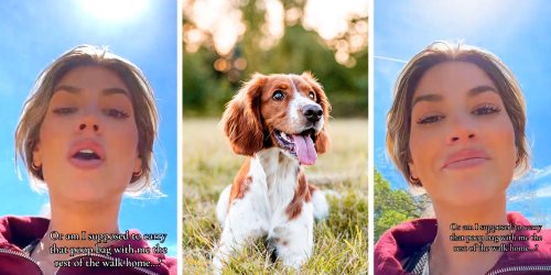 Fly-Tipping: Pet Owners Throwing Their Dog Poop In Neighbors Trash Sparks Outcry