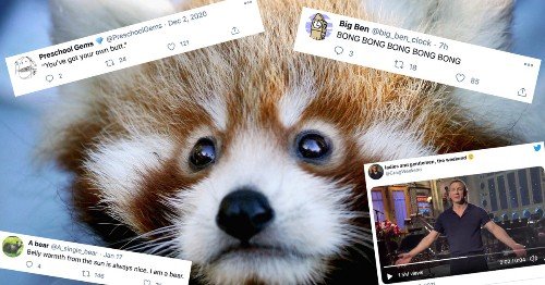 10 Great Twitter Accounts to Infuse Your Feed With Joy