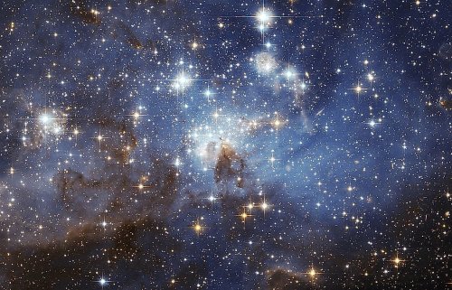 Look at the Biggest Stars in the Universe