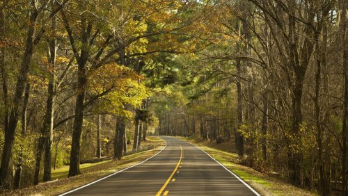 This Picturesque Southern Road Trip Route Is A Must-Visit In The Fall