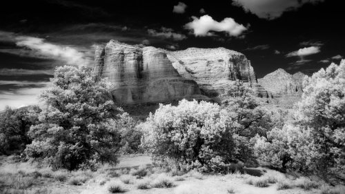 Everything you wanted to know about Infrared Photography