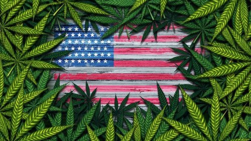 Why The Cannabis Industry Saw 5.4% Job Growth In 2023