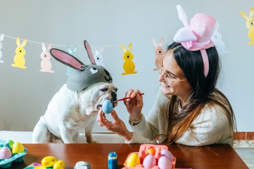 Spring Bucket List for the Ultimate Season Refresh