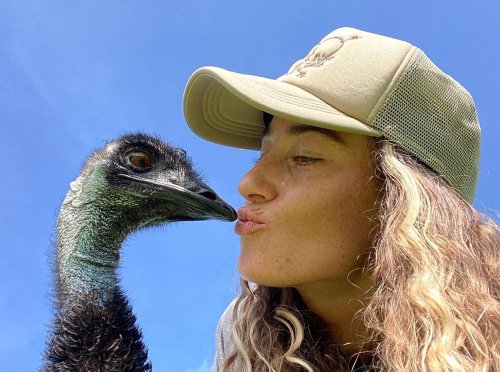 The emu going viral on social media