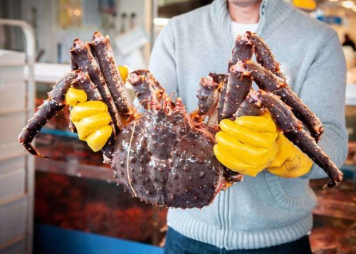 Why Does This Japanese Crab Tastes Better Than Any Other?