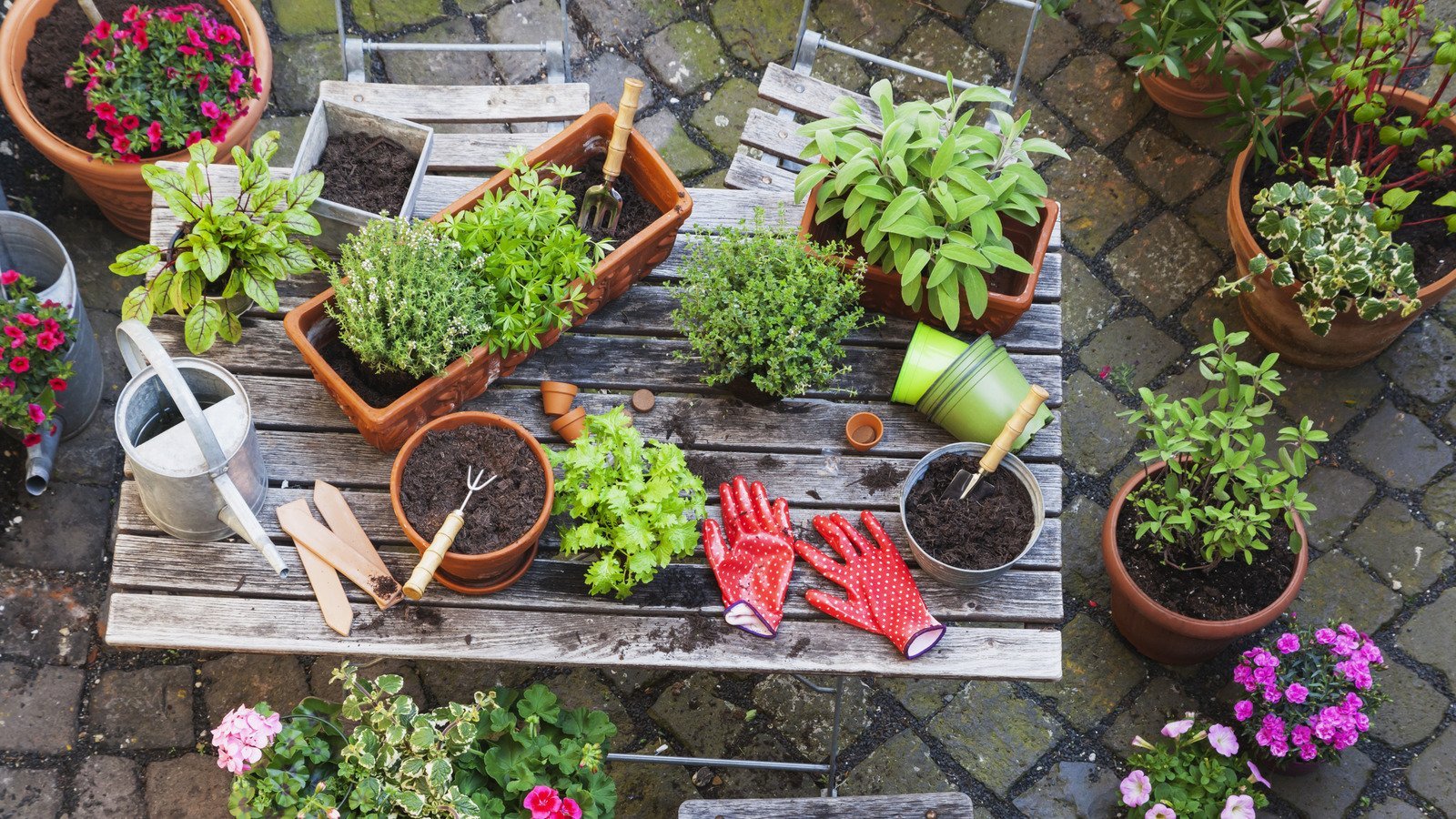 DIY ideas for adorable garden planters 