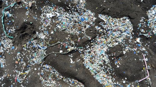 Microplastics: Understanding the Invisible Threat Lurking in Our Environment