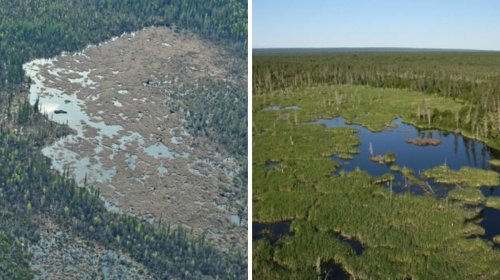 The World's Largest Beaver Dam Is in Canada