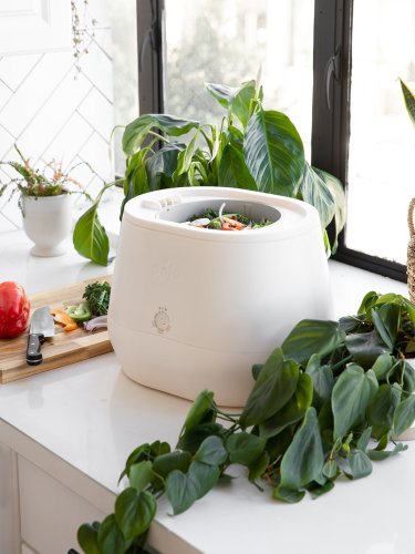 My countertop composter that makes ready-to-use soil overnight is $200 off