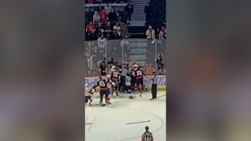 NHL mass brawl as referee sends players off the ice