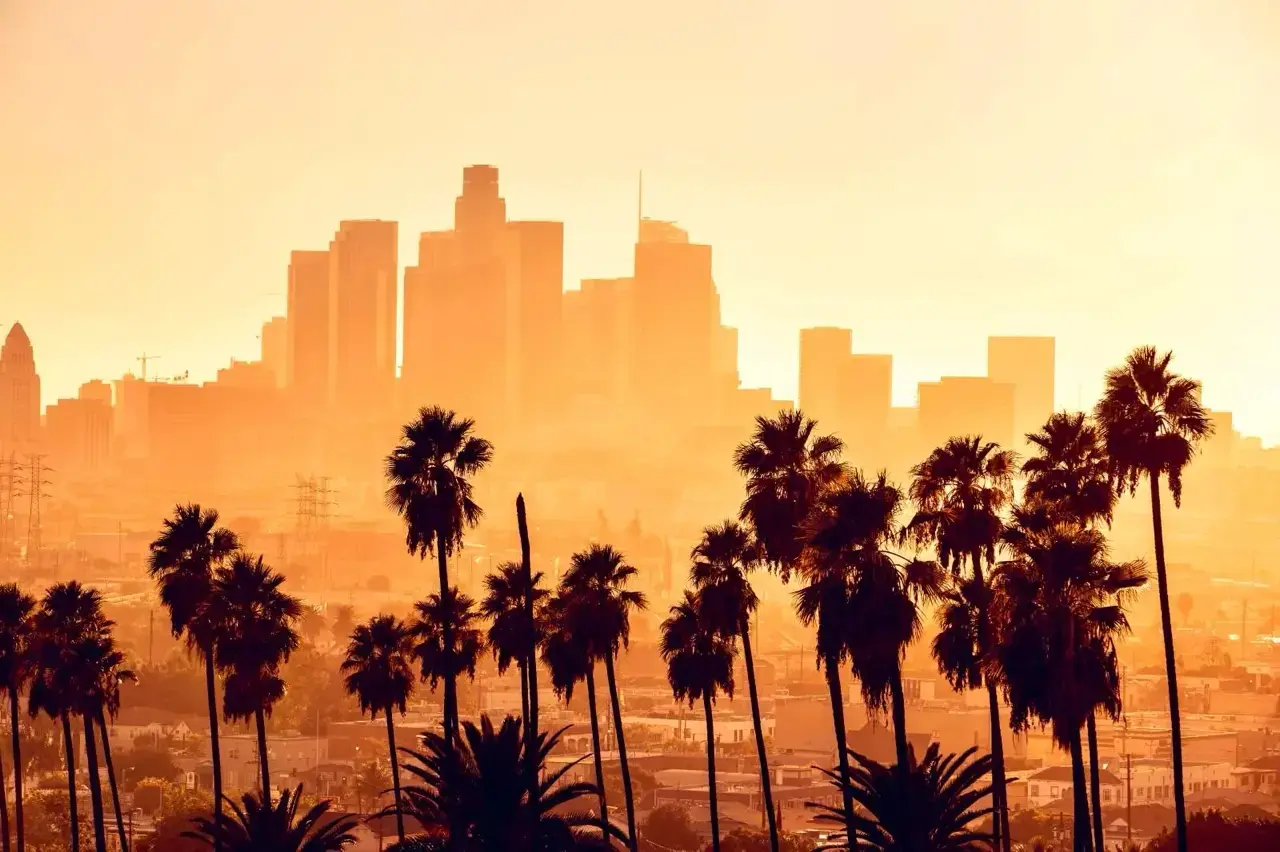 LA LIFE