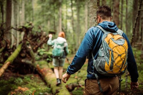 Warning signs to be aware of while hiking or walking in the woods