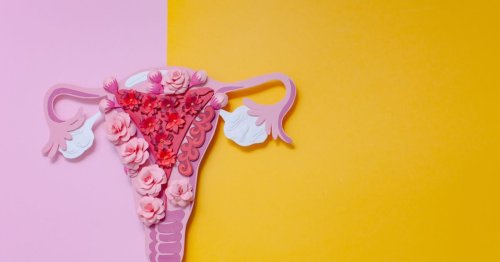 Everything You Should Know About Endometriosis