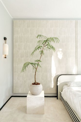 Most Popular Houseplants For Apartments
