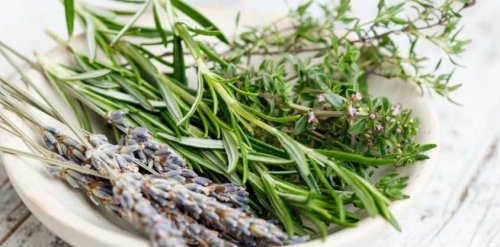 7 Herbs and Spices To Fire Up Your Immunity and Reduce Inflammation Fast 