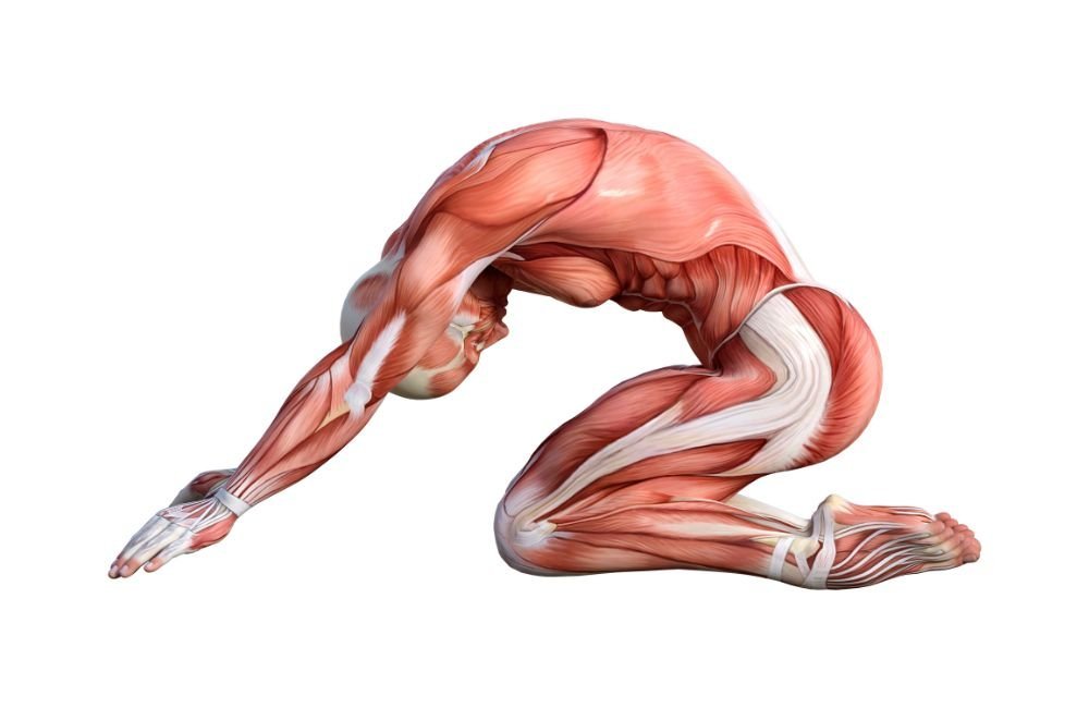 5 Exercises That’ll Stretch and Elongate Your Spine After Sitting All Day