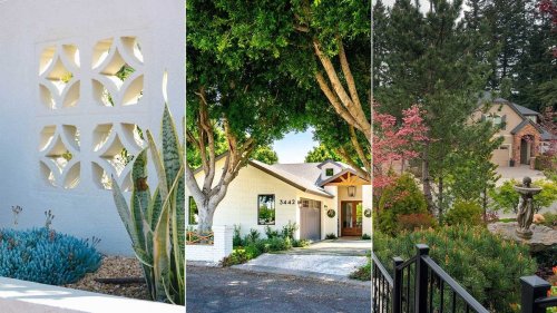 Privacy ideas for your yard