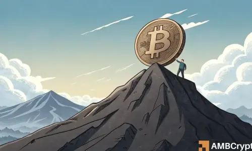 Bitcoin Bulls Took a Breath