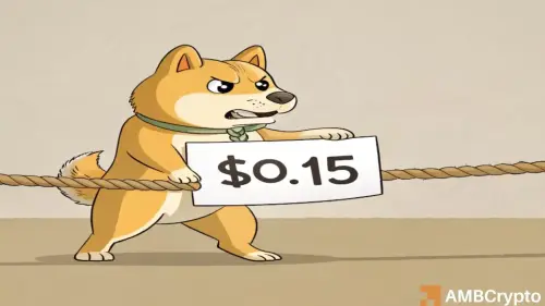 DOGE Bulls vs the Abyss