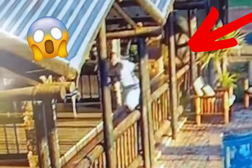 You have to see this crazy chase caught on security cam at an African lodge