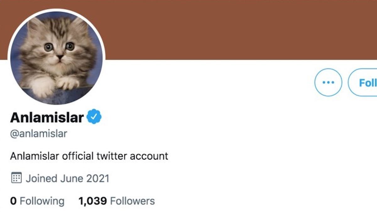 Twitter Verifies at Least Six Fake Accounts Including This Cat