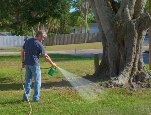 HOW TO MAKE HOMEMADE FERTILIZER FOR YOUR LAWN
