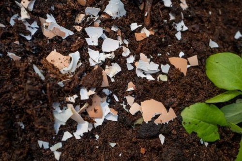 11 Genius Garden Hacks You’ll Want to Steal Immediately